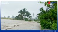 Kebun Warga Tokasa Dihantam Banjir