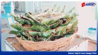Berburu Takjil di Pusat Lalampa Toboli
