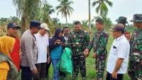 Wujudkan Ketahanan Pangan, Koramil Parigi Ajak Warga Tanam Jagung