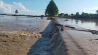 Leli Pariani Dorong Lintas Sektor Segera Tangani Infrastruktur Pertanian yang  Rusak Pasca Banjir