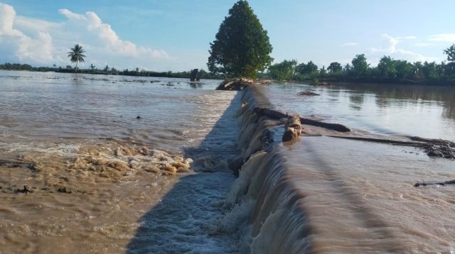 Leli Pariani Dorong Lintas Sektor Segera Tangani Infrastruktur Pertanian yang  Rusak Pasca Banjir