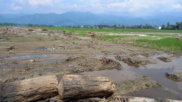 Masa Tanggap Darurat Bencana Banjir Torue -Balinggi Diperpanjang Hingga 26 Juni