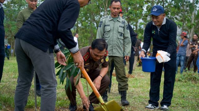 Kajati Sulsel Pimpin Gerakan Tanam 12.500 Bibit Buah di 63 Lokasi