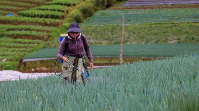 KemenKopUKM Ajak Petani dan Nelayan Ikut Koperasi