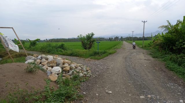 Realisasi Pekerjaan Masih Rendah, PUPRP Layangkan Surat Kedua pada Pelaksana Proyek Jalan Suli- Bungacino