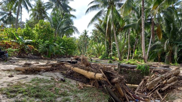 Daerah Irigasi Terdampak Bencana Jadi Prioritas Penanganan SDA PUPRP
