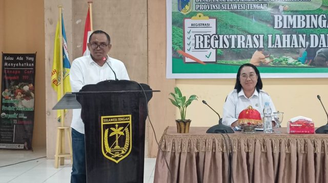 Kepala Dinas Tanaman Pangan dan Hortikultura (TPH) Nelson Metubun mengatakan, Sulawesi Tengah (Sulteng) mendapatkan tambahan kuota, untuk pupuk subsidi jenis NPK Ponska
