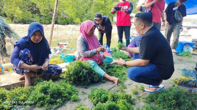 Calon Bupati Nizar Kunjungi Pembudidaya Rumput Laut di Sejoli