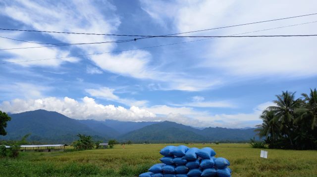Tanggapan Dinas TPHP Soal Maraknya PETI yang Mengancam Produksi Pertanian