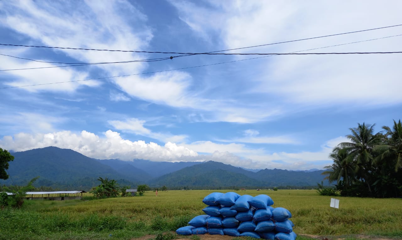 Tanggapan Dinas TPHP Soal Maraknya PETI yang Mengancam Produksi Pertanian
