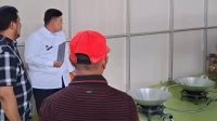 Sebanyak 45 Dapur Disiapkan Dukung MBG di Parigi Moutong