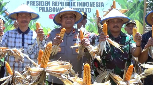 Kapolres AKBP Hendrawan: Panen Jagung Dukung Ketahanan Pangan di Daerah