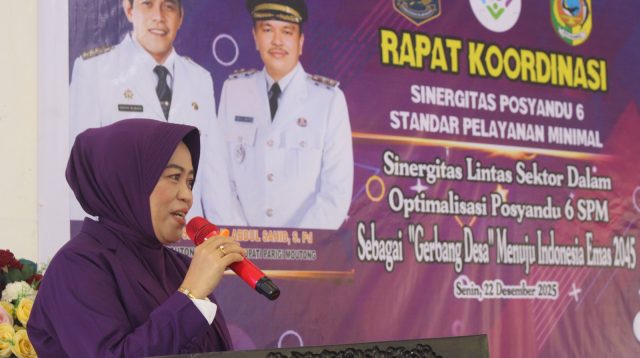 Perkuat Gerbang Desa, TP-PKK Parigi Moutong Dorong Optimalisasi Posyandu 6 SPM
