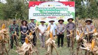 Bupati Erwin Burase Tegaskan Komitmen Dukung Swasembada Pangan pada Panen Raya Jagung Serentak di Torue Bupati Erwin Burase Tegaskan Komitmen Dukung Swasembada Pangan pada Panen Raya Jagung Serentak di Torue