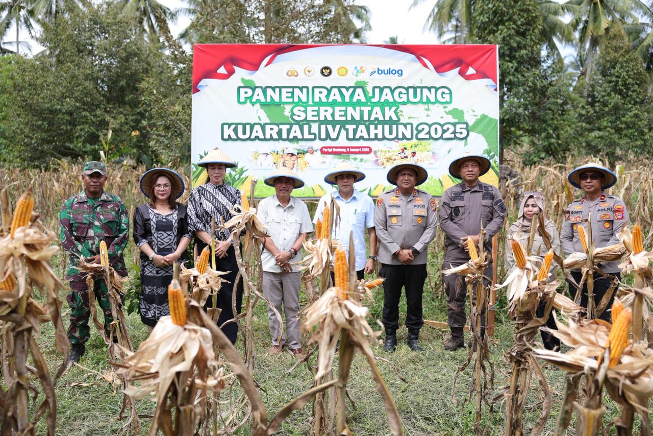 Bupati Erwin Burase Tegaskan Komitmen Dukung Swasembada Pangan pada Panen Raya Jagung Serentak di Torue