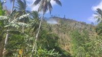 Terjadi Karhutla di Desa Ambason Mekar Kecamatan Tinombo Terjadi Karhutla di Desa Ambason Mekar Kecamatan Tinombo