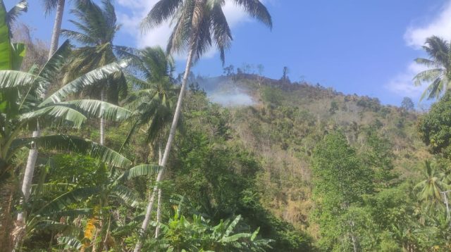 Terjadi Karhutla di Desa Ambason Mekar Kecamatan Tinombo