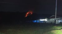 IMG-20260202-WA0000