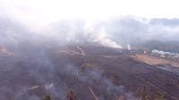 IMG-20260202-WA0008
