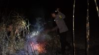 IMG-20260208-WA0005
