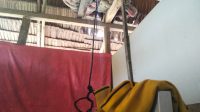Remaja di Siniu Ditemukan Meninggal Tergantung Tali di Kamar Remaja di Siniu Ditemukan Meninggal Tergantung Tali di Kamar