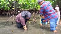 Hari Bumi 2026 di Parigi Moutong, Aksi Tanam Mangrove Bangun Kesadaran Jaga Pesisir