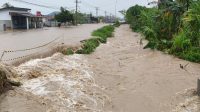 Banjir Rendam Jalan Trans di Desa Tolai Parigi Moutong
