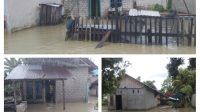 IMG_20260923_132225-COLLAGE